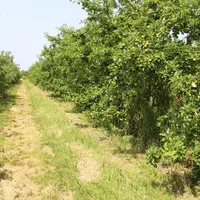 La bio en crise de croissance ?