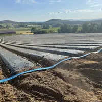 "Il est nécessaire d’avoir une importante trésorerie en début de saison pour l’achat des plants et d’autres matériaux assez onéreux, du plastique biod
