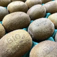 Pour résoudre le problème d’étiquetage, la coopérative KSO a opté pour le marquage de ses kiwis bio au laser.