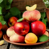 Nectarines, fruits plats et segment des sanguines sont de plus en plus plébiscités par les consommateurs.