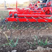 Divers outils de désherbage mécanique sont utilisables par les producteurs d'ail, comme la herse étrille pour un travail en plein.
