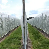 Des vergers piétons plus flexibles