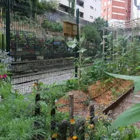 Le centre de formation dispensera notamment un Bac pro de responsable d’exploitation agricole en maraîchage bio ou agriculture urbaine.