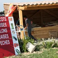 Depuis fin avril, des contrôles sur l'origine des fruits et légumes sont conduits en Vaucluse et Bouches-du-Rhône.