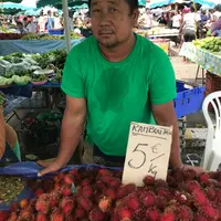L’agriculture guyanaise doit accompagner une croissance démographique très importante.