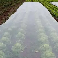 La combinaison de filets et de produits de biocontrôle sont étudiés dans le projet Eclipse.