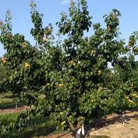 Conduite en AB dans les Pyrénées-Orientales