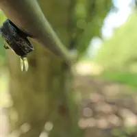 L'efficience de l’utilisation de la ressource en eau devient cruciale pour maintenir une production agricole.