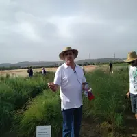 L’asperge à la pointe de la recherche