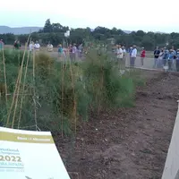 Plus de cent chercheurs et spécialistes de l'asperge ont participé au 15e International Asparagus Symposium  avec notamment la visite des collections