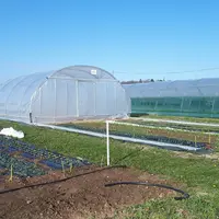 Le tunnel mobile a été utilisé pour intensifier la production, avec quatre déplacements la deuxième année.