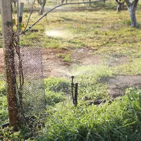 Sans irrigation, les productions de fruits et légumes sont perturbées par les fortes chaleurs.