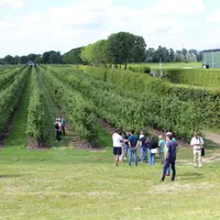 140 personnes ont participé à la 13e édition d’Interpera, congrès international de la poire, qui s’est tenue fin juin à Rotterdam.