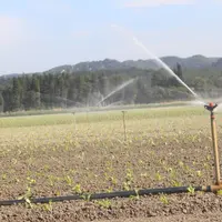 Des adaptations de la gestion de l'eau sont nécessaires car  les besoins des plantes devraient aussi augmenter avec une croissance de l'évaporation.