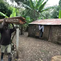 Le jardin créole est un jardin botanique, avec ses différentes fonctions alimentaires, médicinales, ornementales, artisanales.