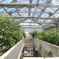 Un succession de cultures permet un maraîchage intensif, toutefois limité par un manque de lumière dans les étages.