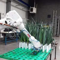 La récolte automatisée de poireau par un bras robotique est un autre axe des travaux de recherche.