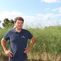 « J’ai dû arrêter la récolte des asperges vertes à cause du criocère », témoigne Kévin Masse, producteur d'asperge bio.