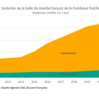 Le marché français de la framboise dépend en majorité des importations.
