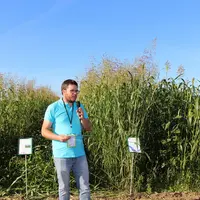 La station maraîchère de Bretagne Sud travaille sur l'intérêt de couverts végétaux pour la couverture et la structuration du sol, la limitation du sal