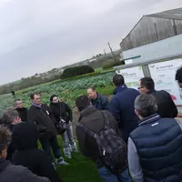 Le Caté continue ses expérimentations avec plusieurs objectifs, notamment le respect de l’environnement et la réduction des intrants.
