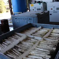 Une campagne asperge difficile et écourtée
