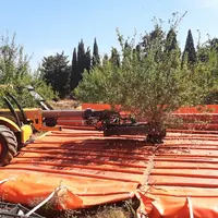 Le système par tapis déroulants couvre parfaitement le sol sans pertes même sur arbres volumineux.