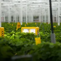 La plateforme autonome modulaire Xenion d’Octinion couplée à son outil d'éclairage Lumion est utilisée de plus en plus par les serristes belges contre
