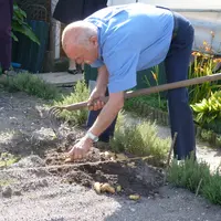 Les jardiniers amateurs achètent plus de fruits et légumes que la moyenne des consommateurs.