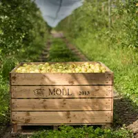 Les émissions de GES des vergers étudiés dans le cadre du projet GreenGo varient de 51 à 136 g eq. CO2/kg de pomme avec 87 g eq. CO2/kg de pomme pour