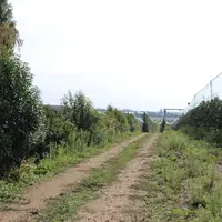 La plantation de haies autour des vergers permet de limiter la dérive.