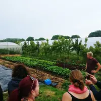Les visiteurs du tiers-lieu sont systématiquement informés des liens avec la ferme maraîchère et bénéficient d’une visiter guidée.