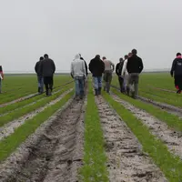 Chefs de culture, qui êtes-vous ?