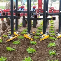 En légumes de plein champ, le binage avec ou sans doigts Kress est pratiquement la seule technique alternative utilisable en cours de culture. Mais se