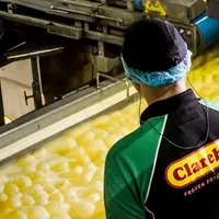 Le belge Clarebout Potatoes veut invertir 140 M€ dans une unité de transformation de pommes de terre sur le port de Dunkerque.  © Clarebout Potatoes