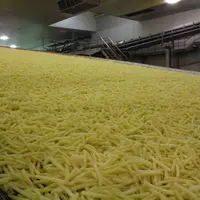 La Belgique transforme aujourd’hui 5 Mt de pommes de terre par an : frites, produits de purée, flocons… © Philippe Gautier - FLD