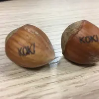 Dans chaque caisse, Koki glisse 5 à 10 % de noisettes gravées.  © Claire Tillier- FLD
