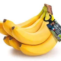 La première banane FQC. © UGPBAN
