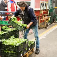 Double peine pour les grossistes italiens de fruits et légumes : prix très bas avant l’épidémie de coronavirus Covid-19 ; chute drastique de l’activit