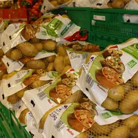 En grande distribution, la pomme de terre bio brossée est conditionnée alors qu’en réseau spécialisé, elle est le plus souvent présentée en vrac.  © P
