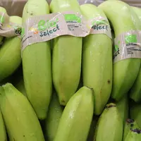 La banane Bio' Select, commercialisée depuis septembre dernier, atteint déjà 1000 t en volumes vendus. © Philippe Gautier - FLD