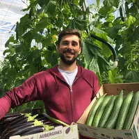 « Nous devons être plus réactifs pour répondre à la demande qui varie beaucoup d’un jour à l’autre », affirme Yann Jacques, gérant des Serres du Val,