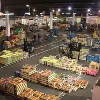L'importance du commerce traditionnel de proximité dans la capitale belge a permis au marché de gros de Bruxelles d'entretenir une solide activité dep