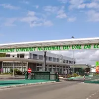 En 2019, sur le Min d’Angers-Vivy, le secteur des fruits et légumes a reculé en volumes de 3 % (19 490 t) et en valeur de 6% (31,59 M€) © Sominval