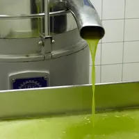 Environ 1 000 l/an d'huile d'olive sont écoulées par le moulin vers les entreprises de la cosmétique. © Pierre-Louis Berger - FLD