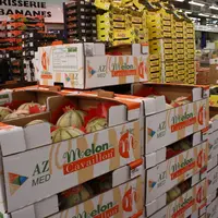 Un mouvement collectif a eu lieu autour de la demande d’IGP Melon de Cavaillon, de la part de toutes les entreprises engagées, quelque soit leur taill