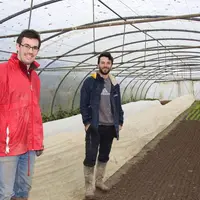 « 20% des légumes sont destinés aux restaurants qui pourront notamment valoriser les légumes non vendables en frais », expliquent Maxime Lefebvre (à g