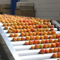 Sur les deux premiers mois de vente, le vrac, véritable cœur de marché, est prédominant sur les linéaires. © Philippe Gautier - FLD (photo ...