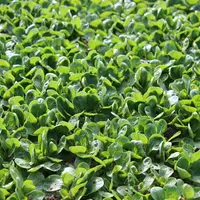L’objectif des coopératives est de convenir d’un accord et des modalités pratiques du projet de rapprochement d’ici mi-décembre 2021, pour une mise en