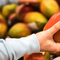 La fine pellicule, composée de sucre, de cellulose et d'huile est testée par l'enseigne allemande sur les mangues, avocats, pomelos et limes.  © Rewe